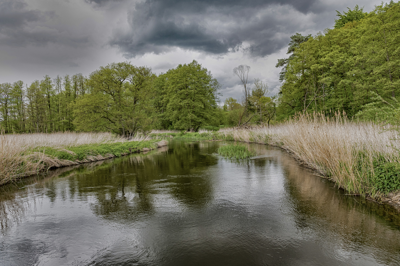 Wanderung im Warnow Tal