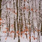 Wanderung im Weissen