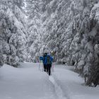 Wanderung im Winterwunderland