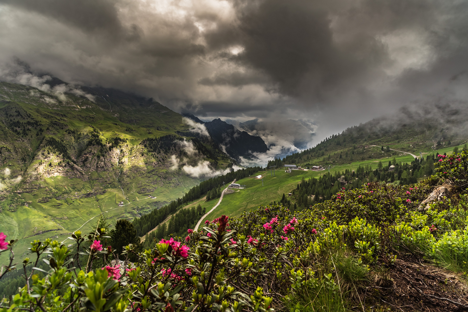 Wanderung in 2100 m Höhe