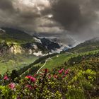 Wanderung in 2100 m Höhe