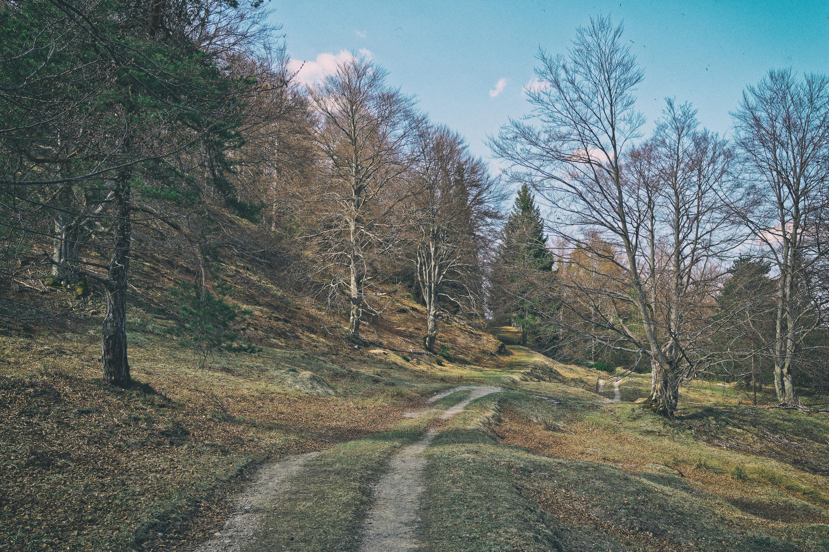 Wanderung in den Alpen 