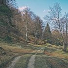 Wanderung in den Alpen 