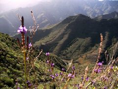 Wanderung in den Bergen oberhalb von San Sebastian