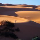 Wanderung in den Sanddünen um den herrlichen See Um el Ma!