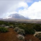 Wanderung in der Caldera des Teide