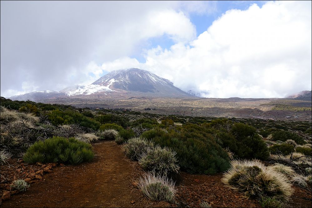 Wanderung in der Caldera des Teide