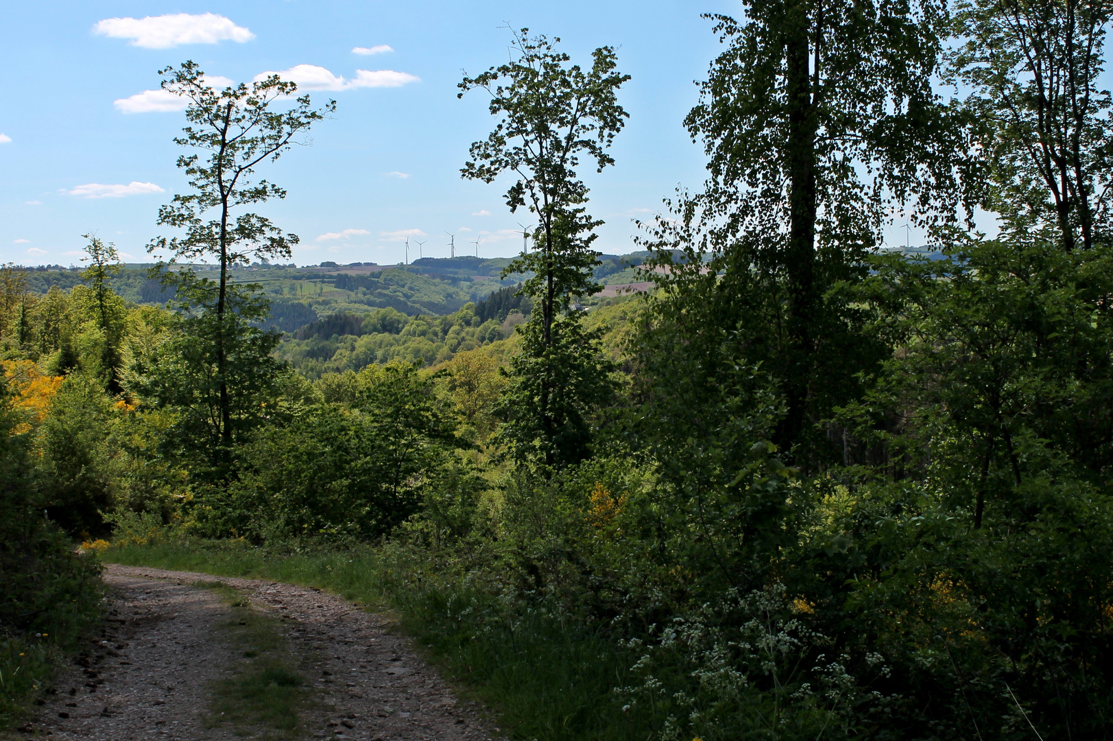 Wanderung in der Eifel 