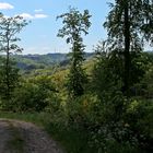 Wanderung in der Eifel 