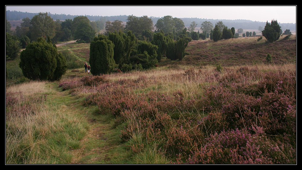 Wanderung in der Heide