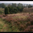 Wanderung in der Heide