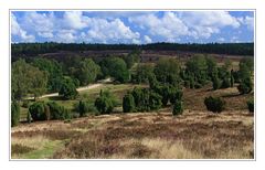 Wanderung in der Lüneburger Heide 2