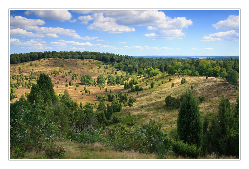 Wanderung in der Lüneburger Heide 5