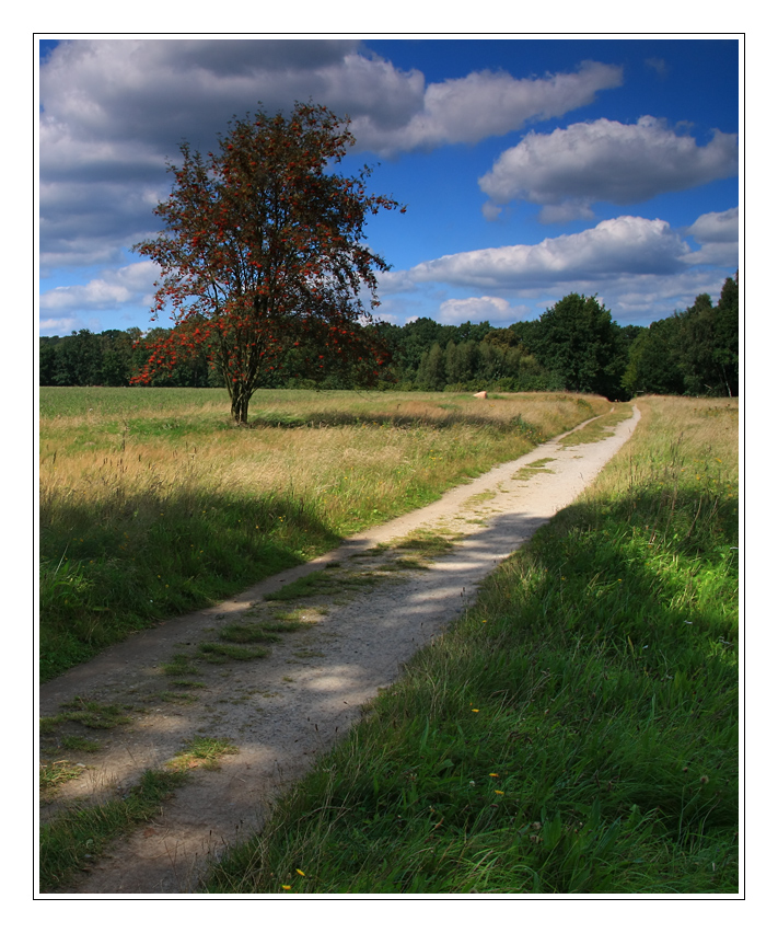 Wanderung in der Lüneburger Heide 6