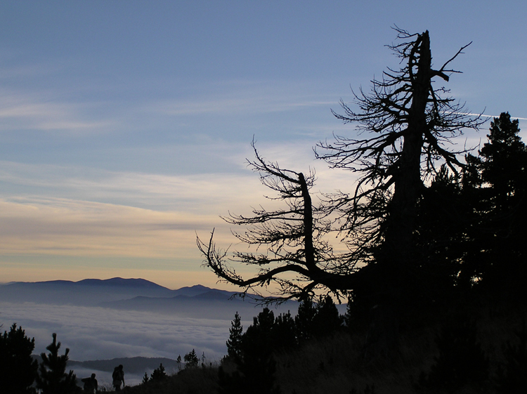 Wanderung in der Morgendämmerung