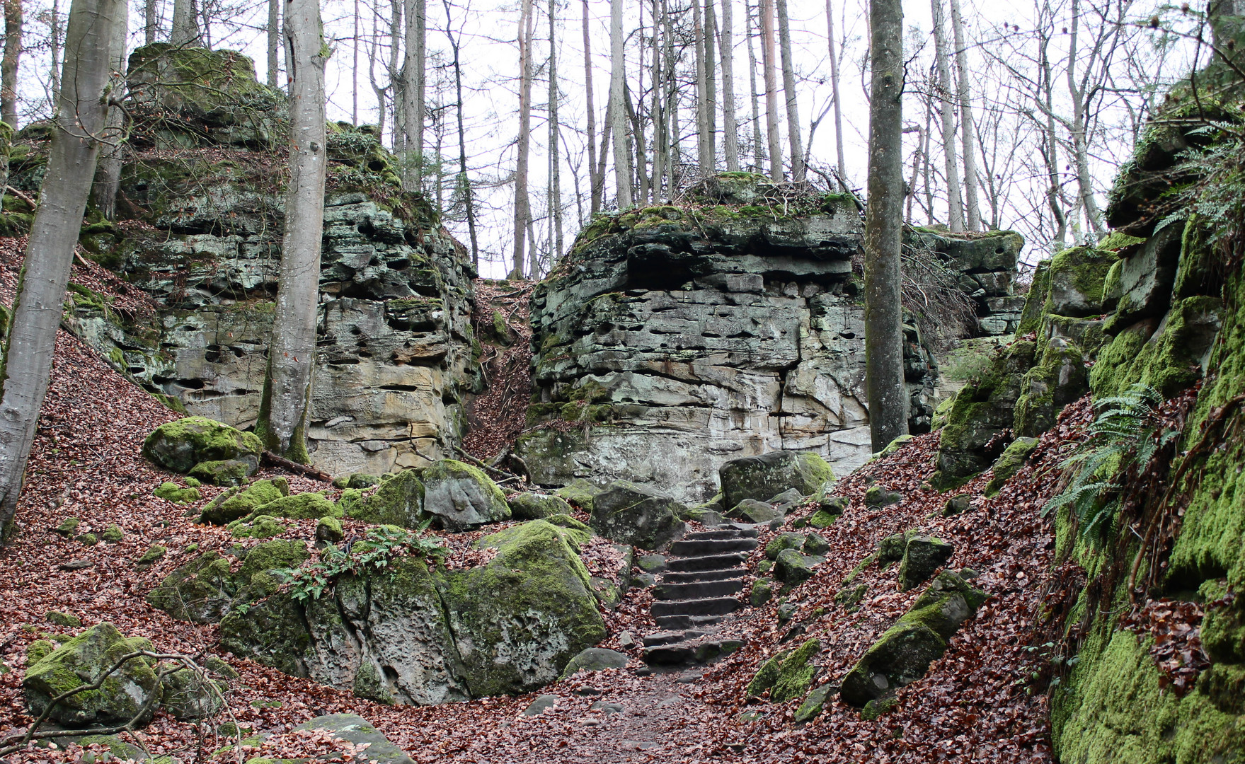 Wanderung in der Teufelsschlucht