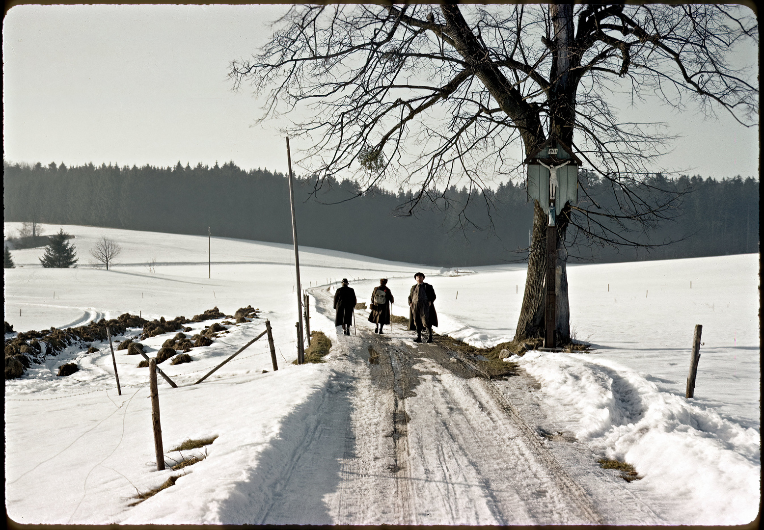 Wanderung in Geretshofen Februar 1959
