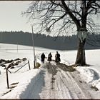 Wanderung in Geretshofen Februar 1959