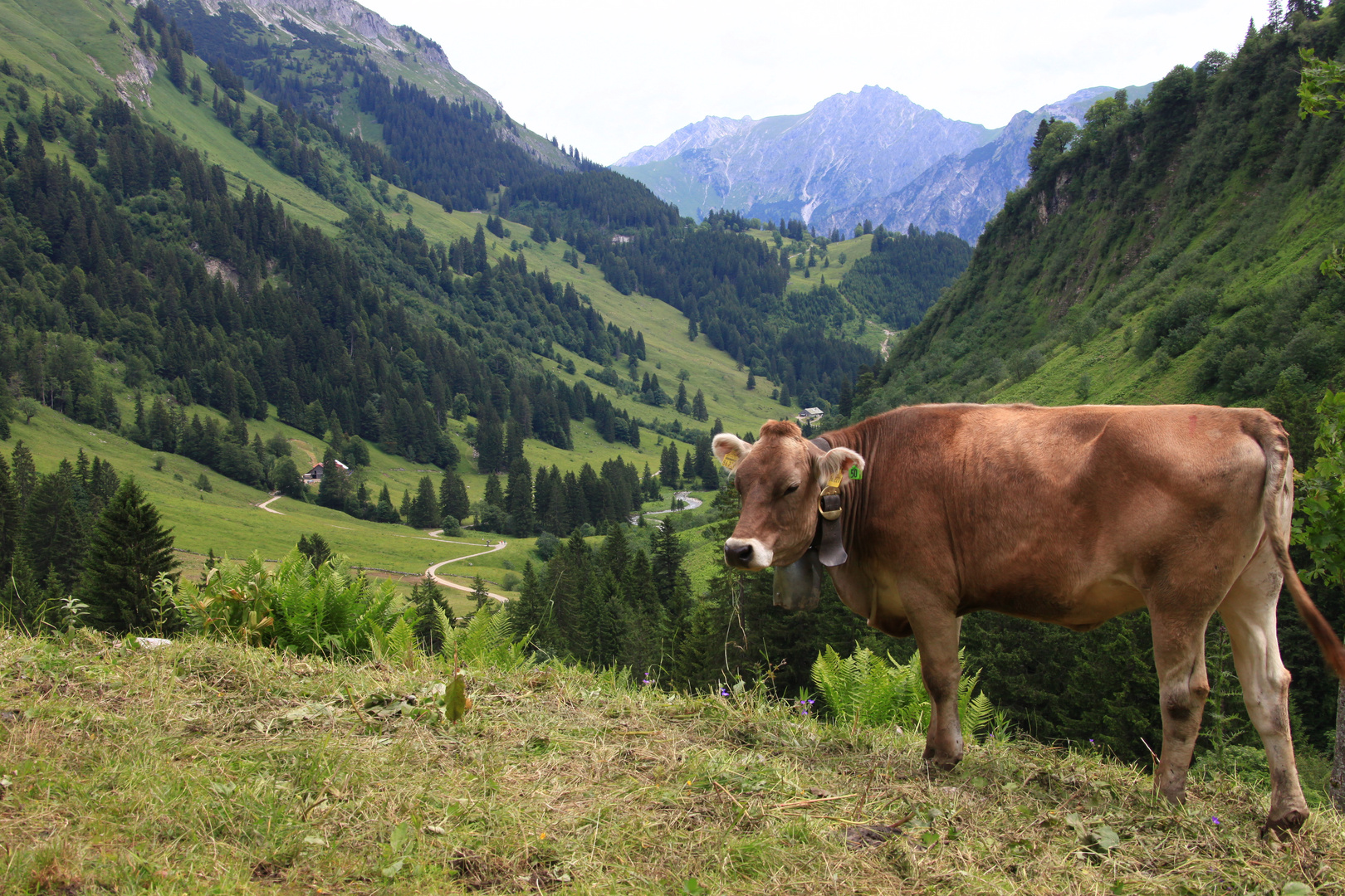 Wanderung in Hinterstein bei Hindelang