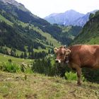 Wanderung in Hinterstein bei Hindelang