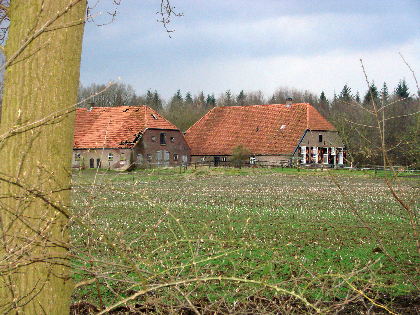 Wanderung in Hummelo