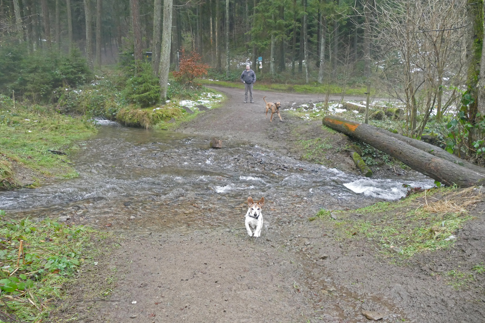 Wanderung in Lüdenscheid....