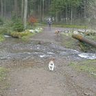 Wanderung in Lüdenscheid....