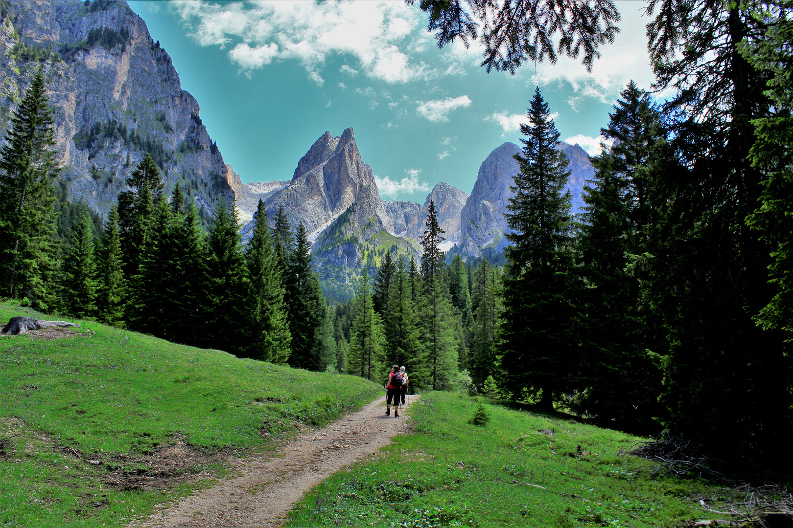 Wanderung in Südtirol