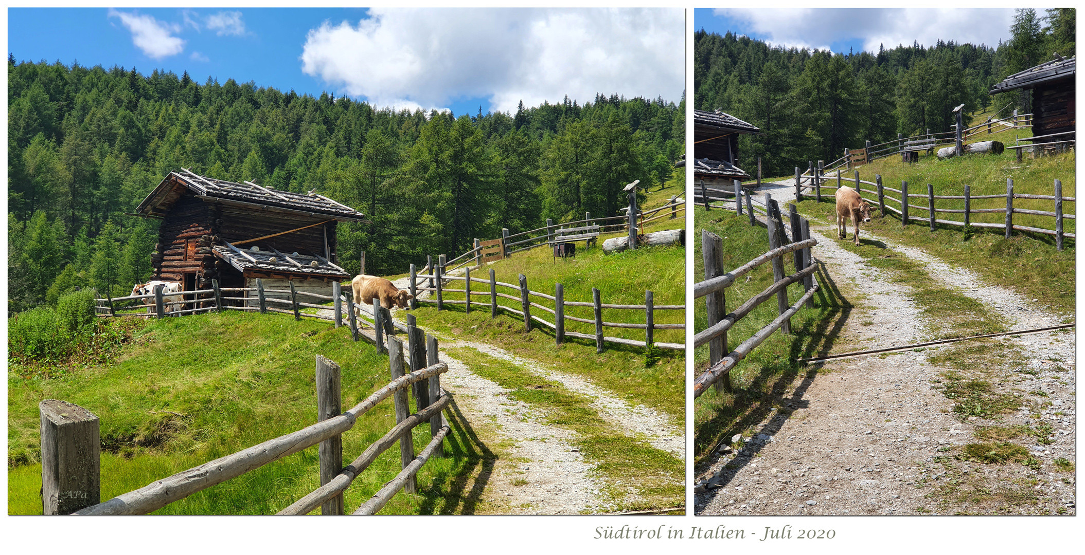 Wanderung in Südtirol