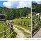 Wanderung in Südtirol