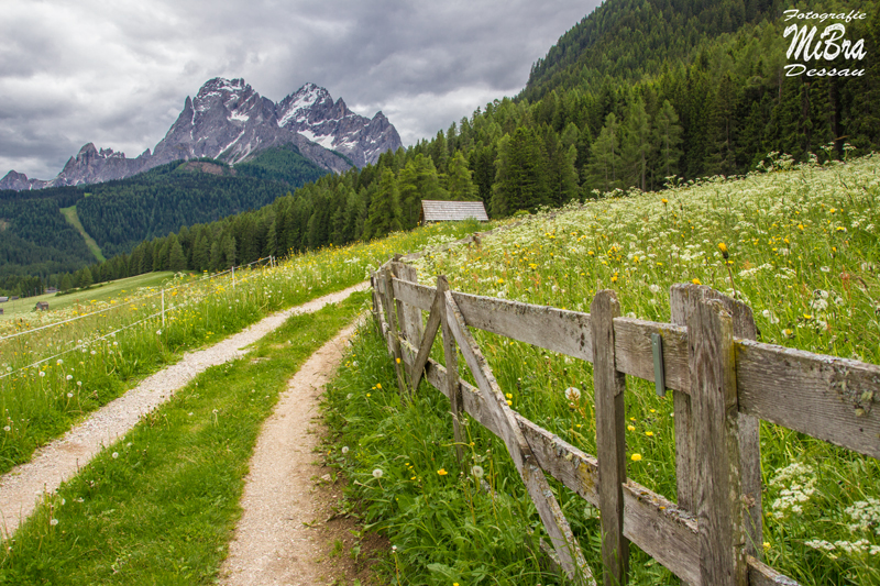 Wanderung ins Fischleintal 2016