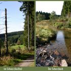 Wanderung ins Schwarzbachtal