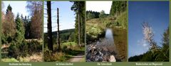 Wanderung ins Schwarzbachtal