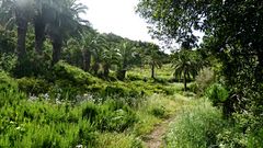 Wanderung Las Hayas - La Gomera