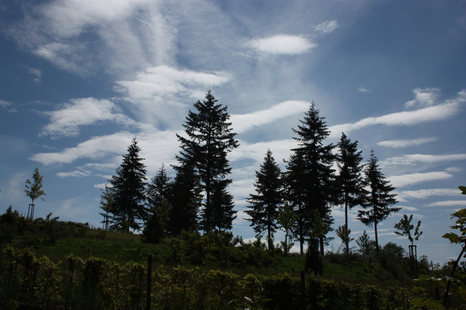 Wanderung "Losheimer Tafelrunde"