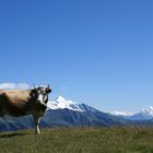 Wanderung Männlichen - Kleine Scheidegg...