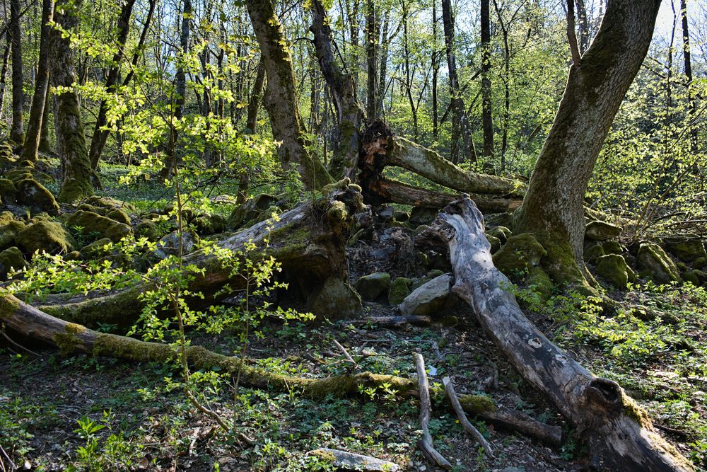 Wanderung Milseburg