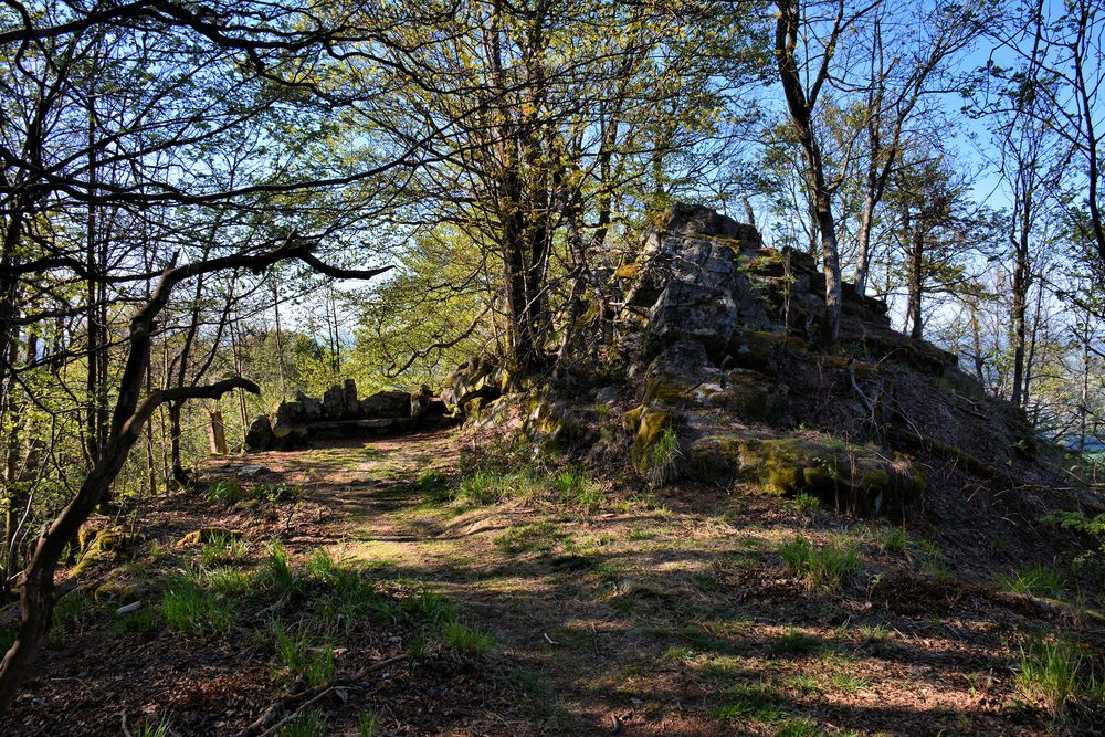 Wanderung Milseburg