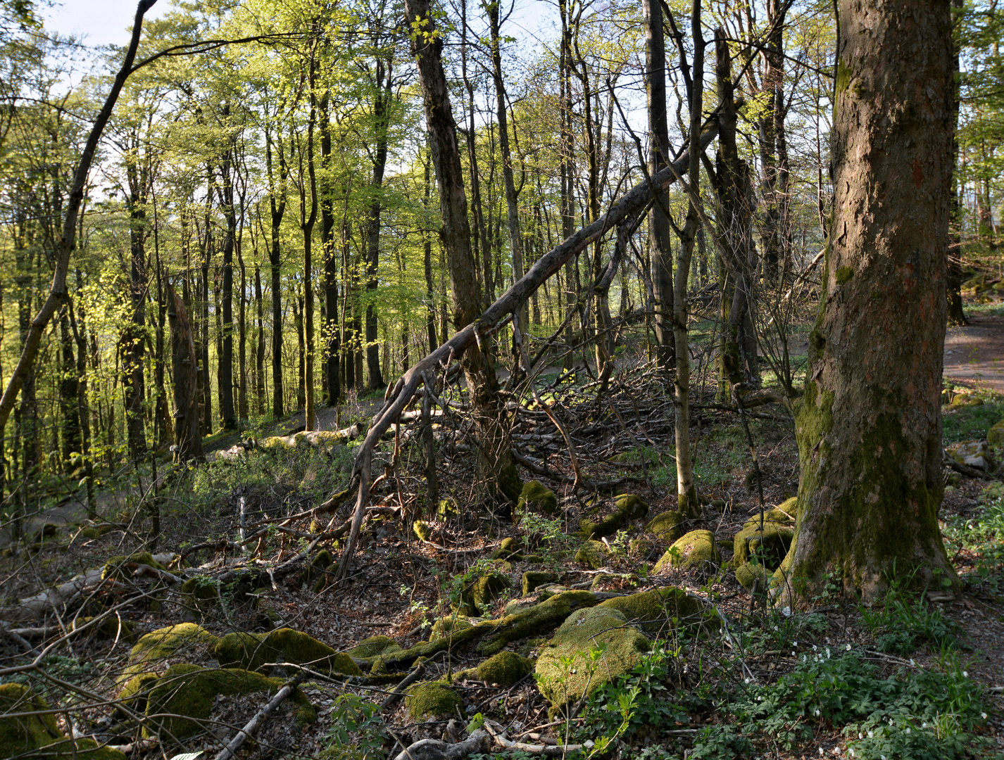 Wanderung Milseburg