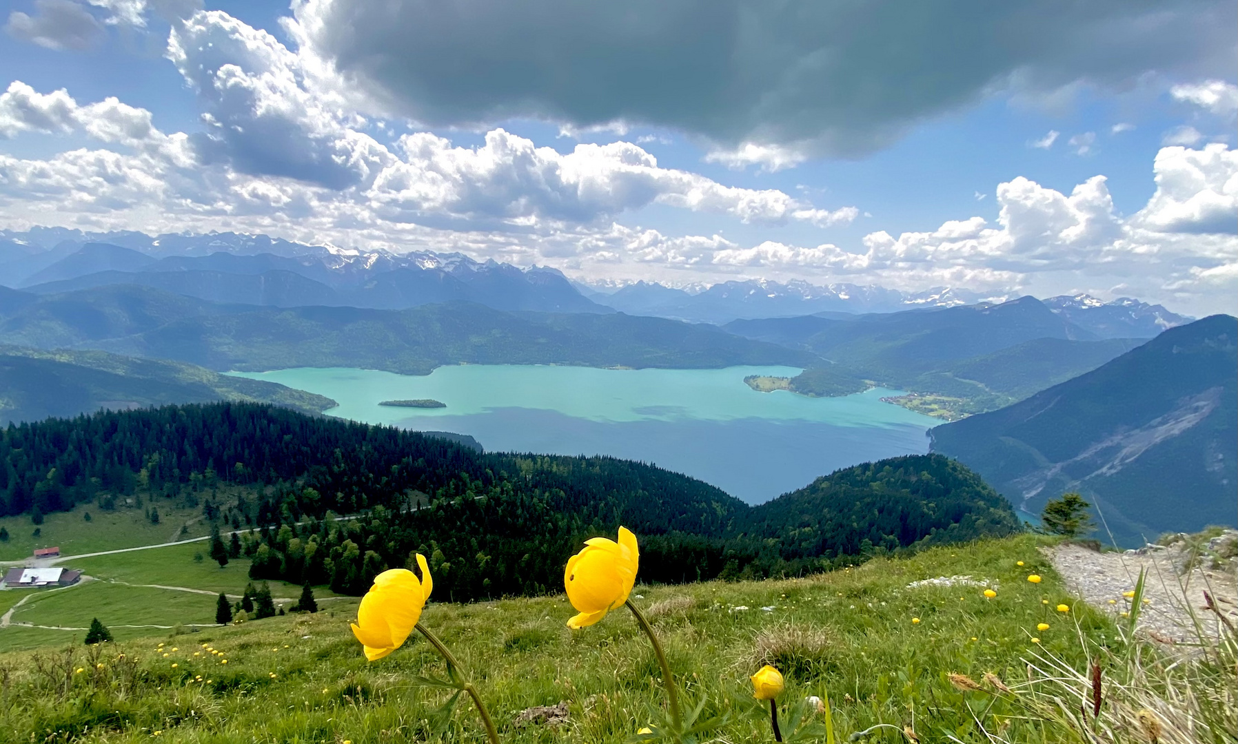 Wanderung mit Aussicht auf den Walchensee 