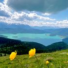 Wanderung mit Aussicht auf den Walchensee 