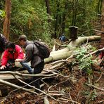 Wanderung mit Hindernissen