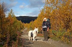 Wanderung mit Hund .....