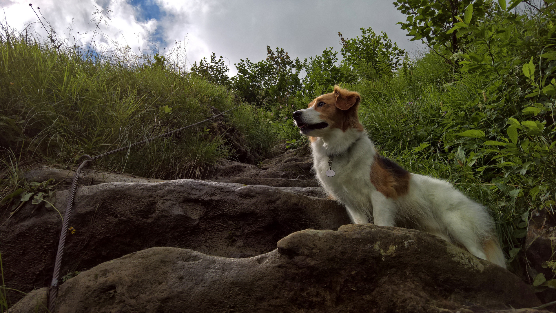 Wanderung mit Lenny