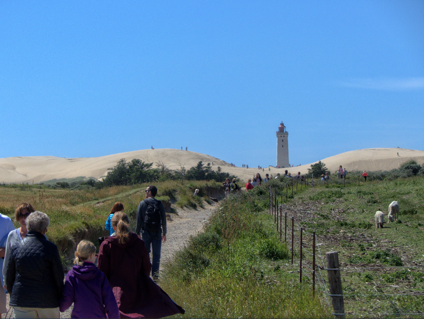 Wanderung nach Rubjerg Knude