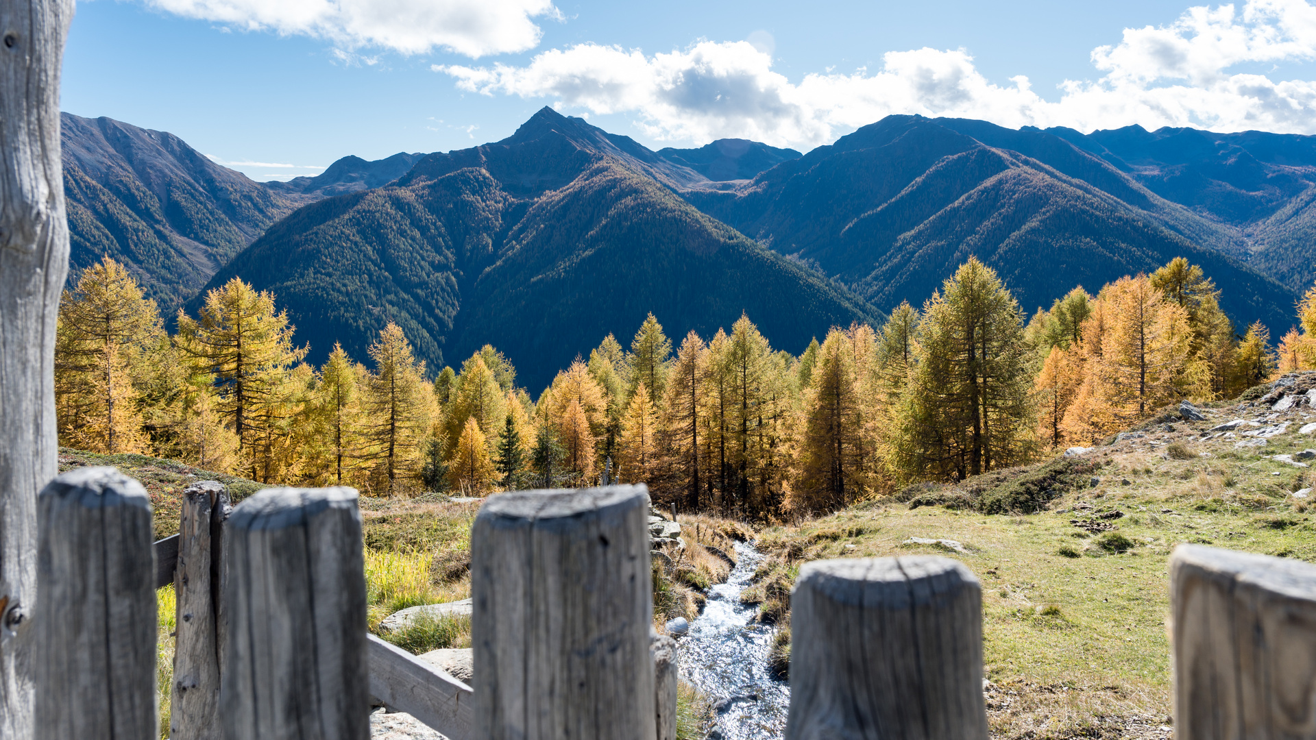 Wanderung oberhalb der Baumgrenze