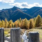 Wanderung oberhalb der Baumgrenze