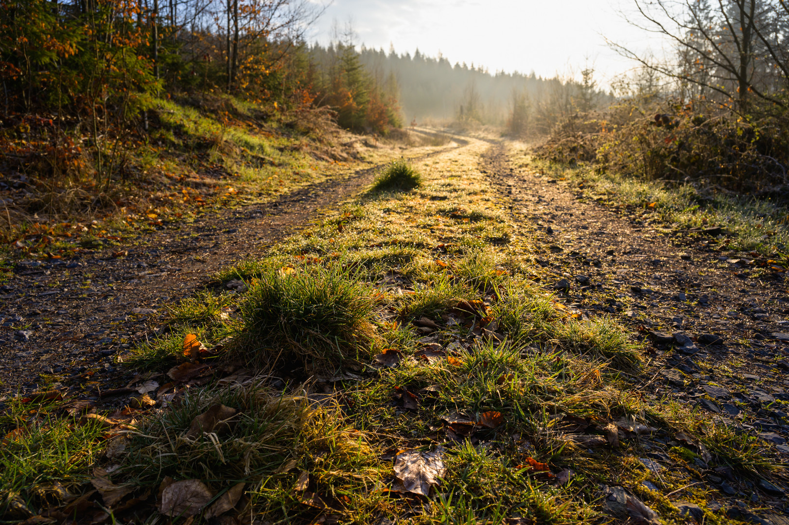 Wanderung Ostermonatag 2023 I