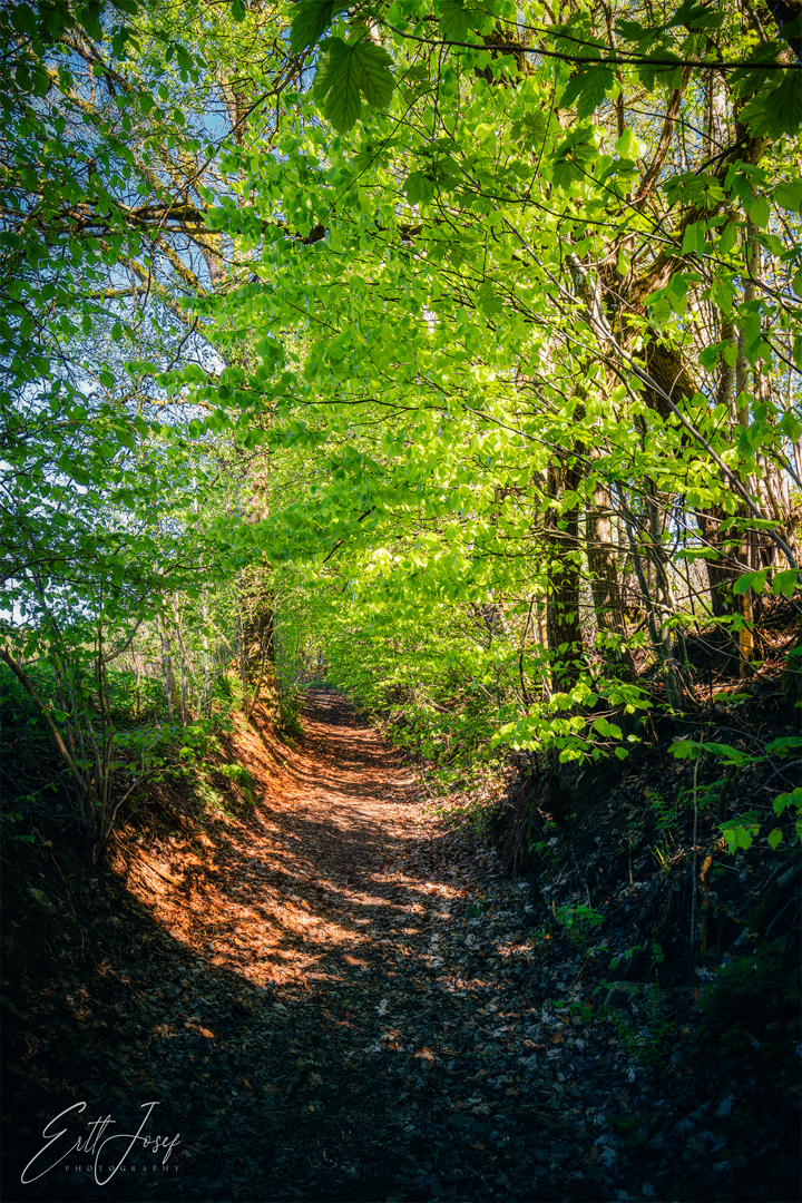 Wanderung Rohrstetten - Langfurth