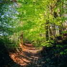 Wanderung Rohrstetten - Langfurth